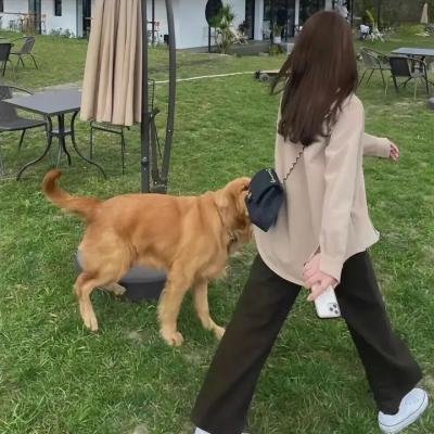 白日梦外送王